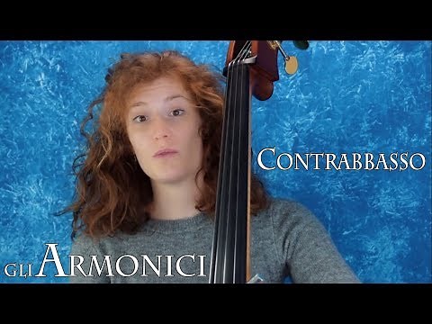 CONTRABBASSO - gli armonici