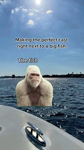 every time | Ocean Universal