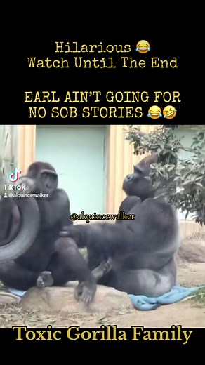 EARL AIN’T GOING FOR NO SOB STORIES 😂🤣 #voiceeffects #funnyvoiceover #comedyvideo #funnyvideos #fyp #foryoupage #alquincewalker #toxicgorillafamily #foryou #hilarious #lol #lmao #funny #sobstory #reelsfbシ #funnyreels | Alquince Walker