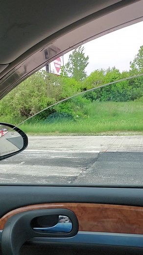 killer Bunny (@killerbunny88)’s videos with original sound - ｷ.ﾑ 👹