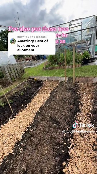 Replying to @Ellen the first month at my new Allotment has been a brilliant project and now taking a step back I’m really proud of everything that I have achieved so far. Starting an allotment in May has really motivated me to get the ground growing 🌞🌱