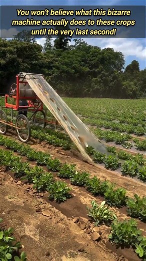 This Machine Just Changed Farming Forever... 😳
