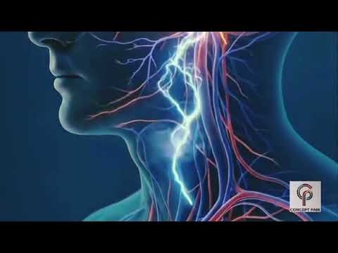 Effects of Smoking on the Human Body | How Smoking Damages Your Health