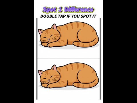 Can You Find All the Changes? Adorable Cat Edition