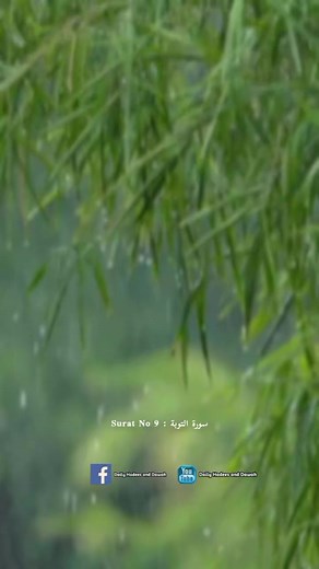 50K views · 7.2K reactions | Daily Hadees and Dawah on Reels | Facebook