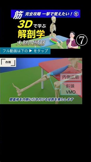 The Crucial Role of the Vastus Medialis: Why Knee Training Without Assessment Leads to Joint Pain...