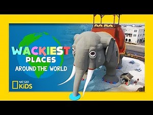 Elephant Six Stories High! | Wackiest Places Around the World