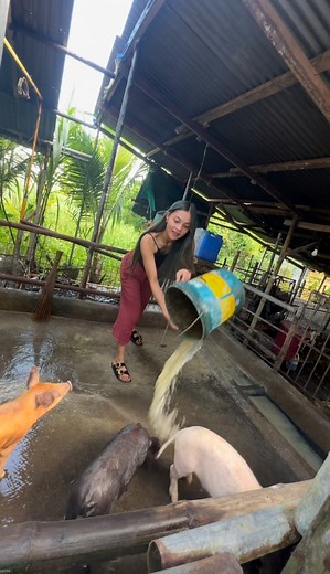 119K views · 7.5K reactions | A Day in a life as masipag na tao sa mundo  ft. AlcoPlus Advance #minivlog #AlcoPlus #AkoPlusAcoPlus #hygiene #recommendation | Jessa Contreras | Facebook