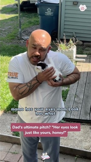 Wife locked the door on a rescue kitten... so Dad and daughter went into full persuasion mode!😂🚪🔨