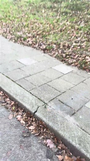 Green ufo🔥🔥 #fireworks