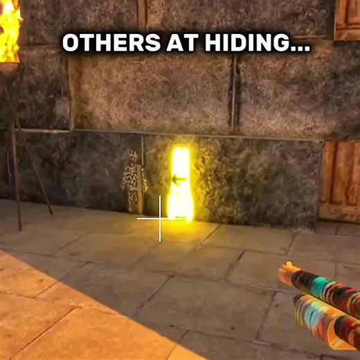 Pro vs Nob at Hiding: Meccha Chameleon Tips