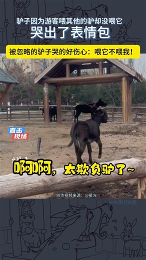 驴子受不了区别对待哭着跑开