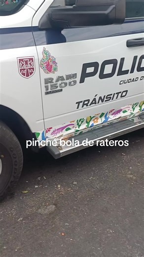 Videos de Carlos Glock (@carlos.glock2) con “sonido original - Carlos Glock”