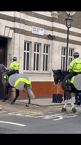 Mounted Met Police officers back home after early shifts.” #london #police #horses #fblifestyle | This is London channel
