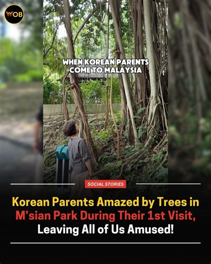 Speaking to WORLD OF BUZZ, Unnie from Seoul said that her parents were fascinated with the trees as they had never seen anything like them in S. Korea 😍 Full article🔗: https://worldofbuzz.com/korean-parents-amazed-by-trees-in-msian-park-during-their-1st-visit-leaving-all-of-us-amused/ | WORLD OF BUZZ