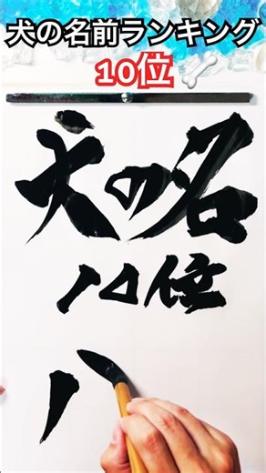 最新【犬の名前ランキング】10位 🦴
