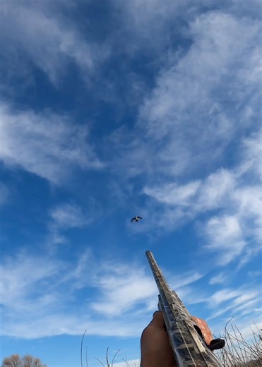 Fast reload or the double, which one you all like ? #duckhunting #hunting #ducks @bossshotshells