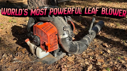 Watch what happens when we test a super powerful leaf blower