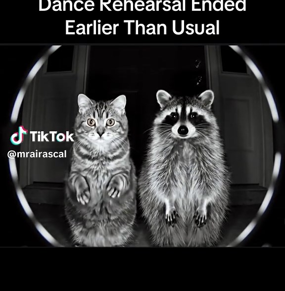 MrAIRascal on TikTok