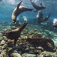 Trek the Galápagos Islands - Google Maps