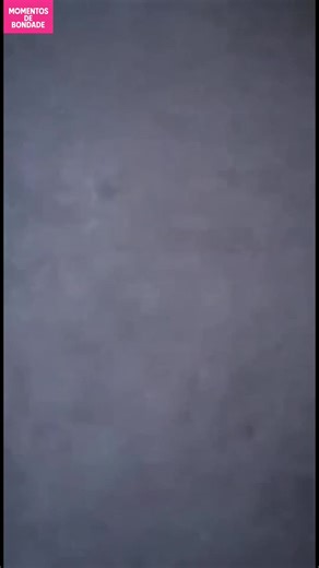 Raposa vs. Avalanche Um desafio nevado para a raposa! #fblifestyle #AI Generated using Kling AI . . . (Apenas para fins de entretenimento. Consulte profissionais se forem apresentadas orientações sobre atividades. Nenhuma afiliação a marcas está implícita se alguma for mostrada. Se inspirado em fatos reais, podem ser incluídas adaptações criativas. O conteúdo pode incluir imagens públicas.) | Fabiosa Brasil