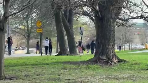 God forbid teenagers enjoy a beautiful spring day at the lake