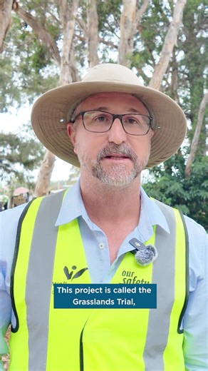 We’re reinvigorating our cemetery maintenance! 🌿 At Wollongong Cemetery we’re trialling a new, sustainable approach to grounds maintenance by planting indigenous grassland species in areas that are challenging to maintain and typically require the use of herbicides. Inspired by the Southern Metropolitan Cemeteries Trust’s Project Cultivate, this initiative aims to deliver environmental and biodiversity benefits, including: ✅ Cooler ambient temperatures ✅ Healthier soil ✅ Reduced herbicide use ✅