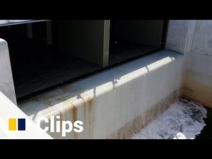 Video shows start of the release of treated radioactive water from Japan’s Fukushima nuclear plant