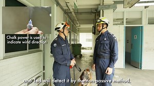 What does it take to be a search dog handler in SCDF?! Join LTA (NSF) Mook He Jun as he embarks on this new series to learn more about the different vocations in SCDF. First up: Search Dog Handler! How will he fare? Watch the video to find out! | Singapore Civil Defence Force