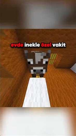 🐄 İnekle 1 Günde Neler Yapılabilir? 😱⚠️