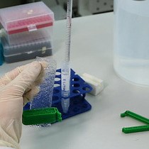 Video: Recombinant Protein Expression, Crystallization, and Biophysical Studies of a Bacillus-conserved Nucleotide Pyrophosphorylase, BcMazG