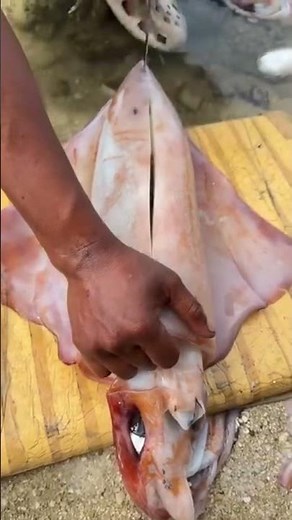 The process of cutting squid using a knife #shorts