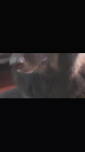 Dilshan Samitha Fernando on TikTok