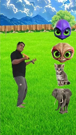 alien head to elephantc dog monkey cat vfx magic video #shorts #viral #shortvideos