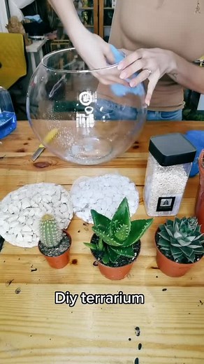 DIY Succulent Terrarium Tutorial