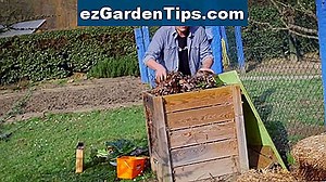 Cómo compostar en el aula preescolar 🌱 Tips Jardineros - Es.ezGardenTips.com