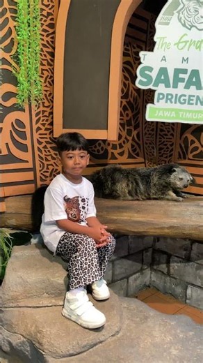 📸 Seru! Berfoto Langsung dengan Hewan Lucu di Taman Safari Prigen! #Shorts #AnimalShorts