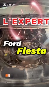 117 reactions | Ford fiesta probleme pastille✅ | Garage l'expert | Facebook