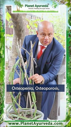 Hadjod (Cissus quadrangularis) Benefits & Uses by MD-Ayurveda Expert | Bone and Joint Health