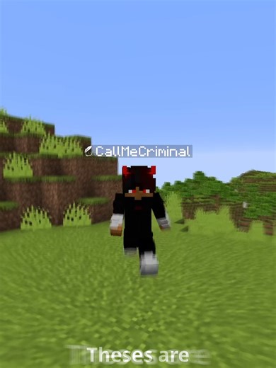 Mods used by pro pvpers pt4 (FlameFrags edition) #minecraft #minecraftpvp #mods #flamefrags