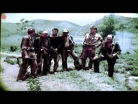 Best Vietnam Movies | Lives of the jungle | War Movies - Full Length English Subtitles