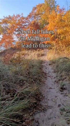 👉🏻Comment FALL, and I'll send you our complete fall travel secrets! 🍁🍂 From the best spots to see fall color in Michigan and the best times to visit, you'll have everything you need to ❤️ Fall in Michigan! #puremichigan #michigan #fallcolors🍁🍂 #peakfall #usatravel #LakeMichigan | My Michigan Beach & Travel
