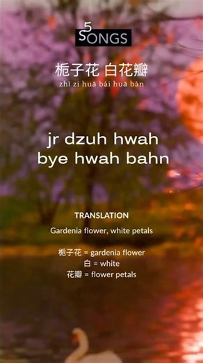 Rene Liu Later 5 后来 — 后来我总算学会了如何去爱 - 刘若英 #chinesesong #learnchinese #lyrics #lyricvideo