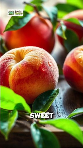 7 Essential Tips to Harvest Peaches Perfectly Every Time