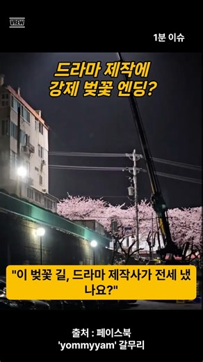 1분 이슈 드라마 제작에 강제 벚꽃 엔딩 #부산개금벚꽃길 #민폐촬영 #드라마촬영통제 #부산진구 #벚꽃명소 #공공장소권리 #1분이슈