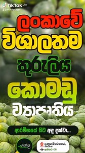 2.7K views · 27 reactions | --- * THURULIYA AGRO ENTERPRISES (PVT)...