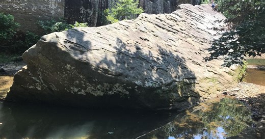 'Never has a forest been logged back to health': Suit aims to halt Southern Illinois logging project