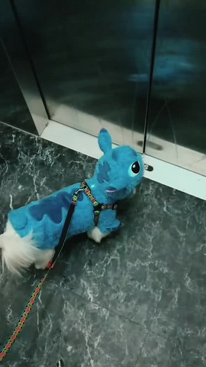 Lilo and Stitch Cartoon Collection: Featuring Angel and Stitch