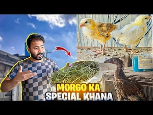 Morga Ka Special Khana 😜