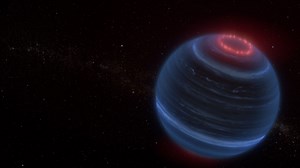 What Makes Brown Dwarfs So Weird?